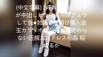 (中文字幕) [VENX-005] 息子が中出ししたらお掃除フェラして強●勃起させ再び挿入金玉カラッポになるまで終わらない近親エンドレス相姦 稲場るか