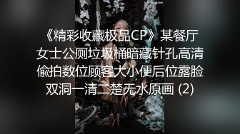 《精彩收藏极品CP》某餐厅女士公厕垃圾桶暗藏针孔高清偸拍数位顾客大小便后位露脸双洞一清二楚无水原画 (2)