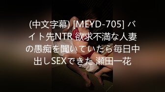 (中文字幕) [MEYD-705] バイト先NTR 欲求不満な人妻の愚痴を聞いていたら毎日中出しSEXできた 瀬田一花