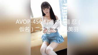 AVOP-456 背徳の秘湯 忍（仮名）二十九歳 紗凪美羽